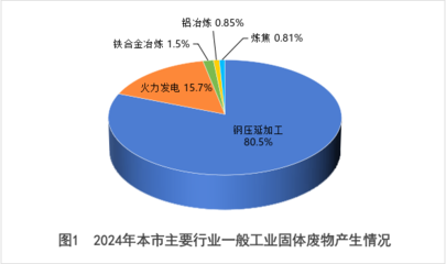 嘉峪關市2024年固體廢物污染環(huán)境防治信息公告——聚焦鋼壓延加工行業(yè)
